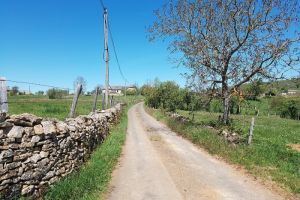 Sur la route qui va à la ferme Sur la route qui va à la ferme