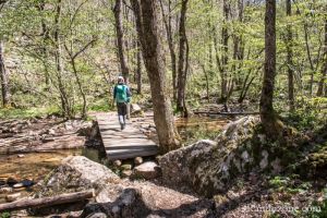 Passage d'un pont en bois