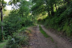 La piste que l'on emprunte au-dessus de la chapelle