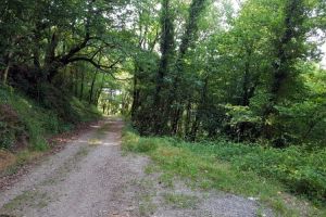 Le chemin que l'on suit durant un moment