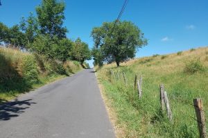 On longe la route un petit moment