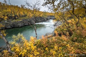 Couleurs d'automne  Abisko