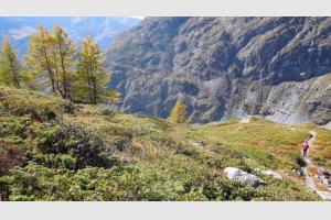 Dbut de la longue descente finale