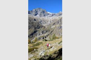 Dans la descente