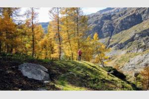 Vers la cabane du Gioberney