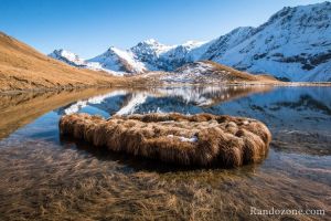 Formes bizarres au lac du Clou