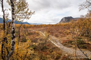 Sentier en bois pour traverser les zones humides