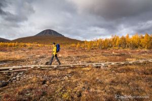 Lumire fantastique et couleurs jaunes irelles