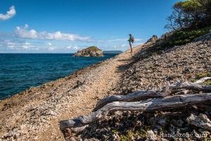 Sur la randonne de la pointe des Chteaux