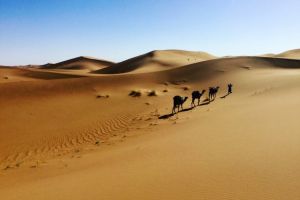 Voyage dsert Maroc