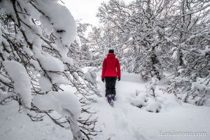 La neige a bien tenu sur les arbres