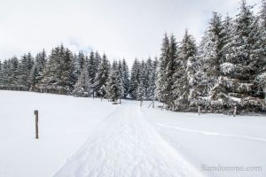 Passage sur les pistes de raquettes  neige de Sainte Urcize