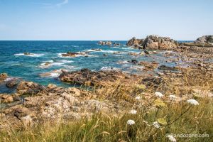Sentier ctier prs de Plougrescant