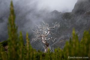 Ambiance en montant au Pico Ruivo