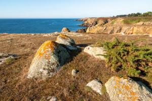 Le sentier longe la mer pendant un bon moment