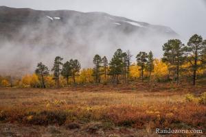 Brouillard dans le parc d'Abisko