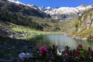 Au bord du lac de Plaa de Prat le matin