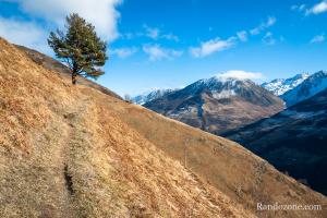 Un arbre tout seul au milieu de la montagne