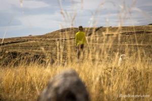 Balade sur Aubrac