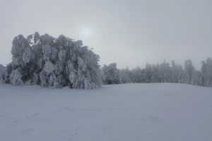 Sortie en raquettes  neige prs de Laguiole 
