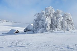 Randonnée raquettes: Randonnée en raquettes à neige près du Puy de Gudette Randonnée en raquettes à neige près du Puy de Gudette