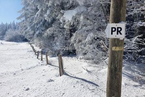 Je continue de suivre le balisage jaune pour terminer ma balade en raquettes  neige 