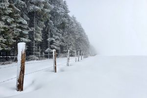 Balade sur le chemin de Fontanilles en Lozre
