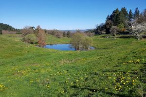Paysage bucolique de printemps le long de notre randonne 