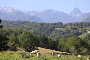 Aux environs de Rbnacq