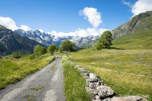 Route du plateau de Saugu au dbut de l't
