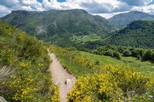 Non loin du lac d'Estaens
