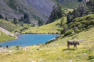 Lac de Bastan infrieur