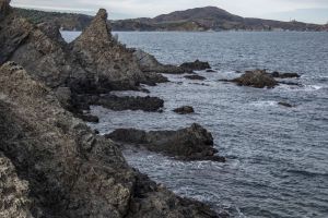 Rserve marine de Cerbre-Banyuls