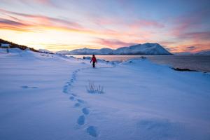 Une randonne cotire pour dcouvrir les lumires spectaculaires de la Laponie en hiver