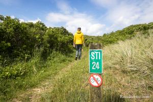 Sur le sentier Sti 24 au Danemark Sur le sentier Sti 24 au Danemark
