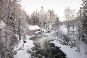 Ambiance glaciale en Finlande au mois de janvier