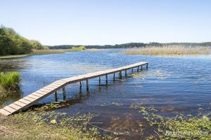 Randonne sur le tour de l'tang d'Aureilhan dans les Landes