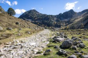 Le sentier est facile au dbut sur une large piste
