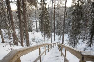 Encore des escaliers avec de la neige