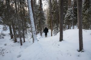 C'est vraiment un plaisir de progresser dans cette forêt