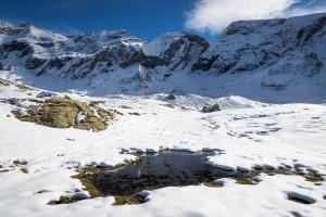 Un autre laquet dans le cirque de Troumouse