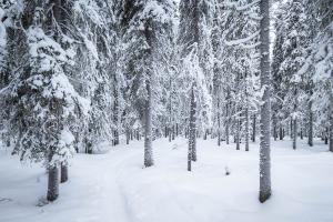 En route pour le refuge