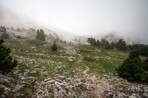 Après les pelouses, les rochers font leur apparition mais je rentre dans le brouillard
