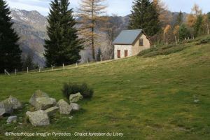 Chalet forestier du Lisey