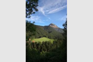 Une autre vue sur Chamechaude