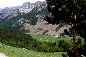 Le plateau du Gave de Bious Le plateau du Gave de Bious