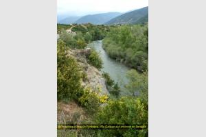 Rio Gallego