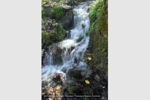 Ruisseau d'Asteuil