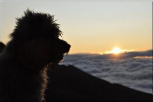 Au pic de Barran