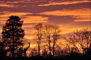 Le soleil de lve sur le chemin d'Henri IV